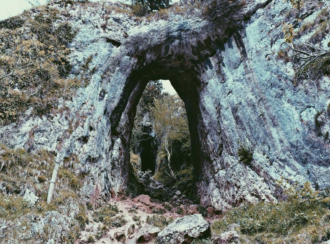 The DIY Route: Building Your Own from Custom Instructions (MOCs)