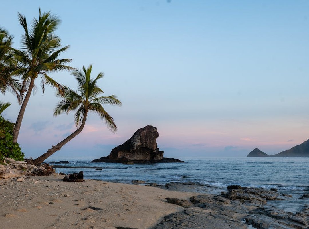 The Verdict on Value: The Pros and Cons of Buying Fiji Water