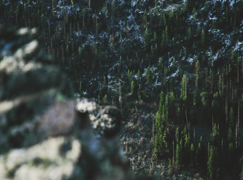 jumpscare:2cdzi6clb-m= five nights at freddy's