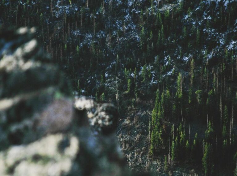 jumpscare:2cdzi6clb-m= five nights at freddy's