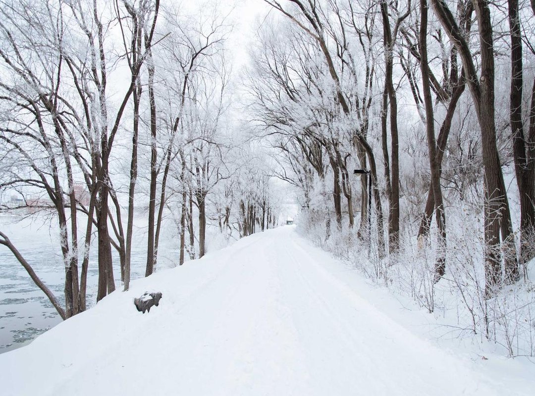 How It Stacks Up: Link Baby Suji vs. The Competition