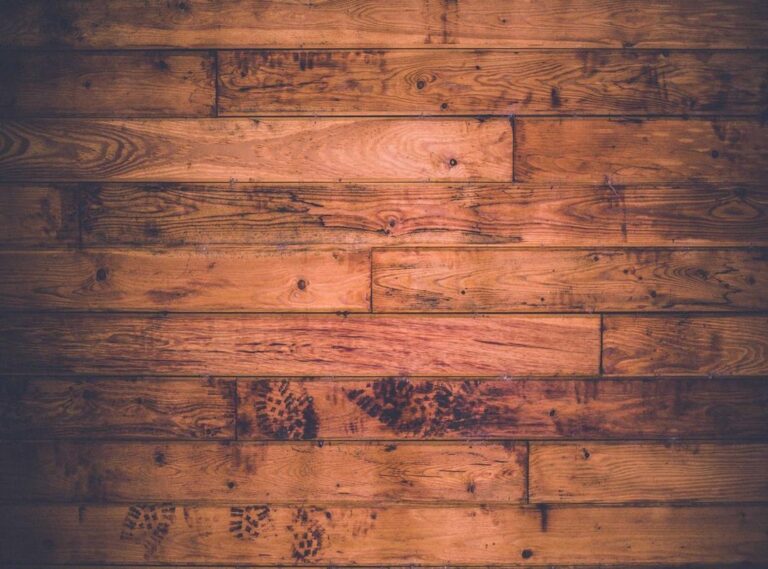 pack chilenas telegram