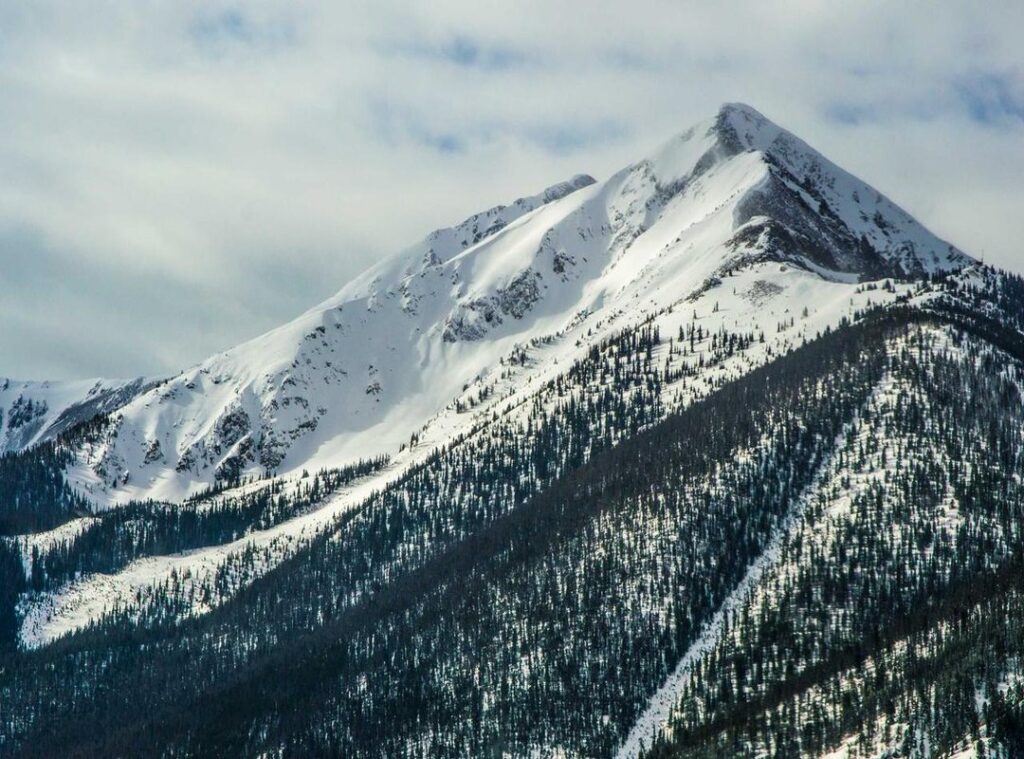 sasaki to miyano anime kage