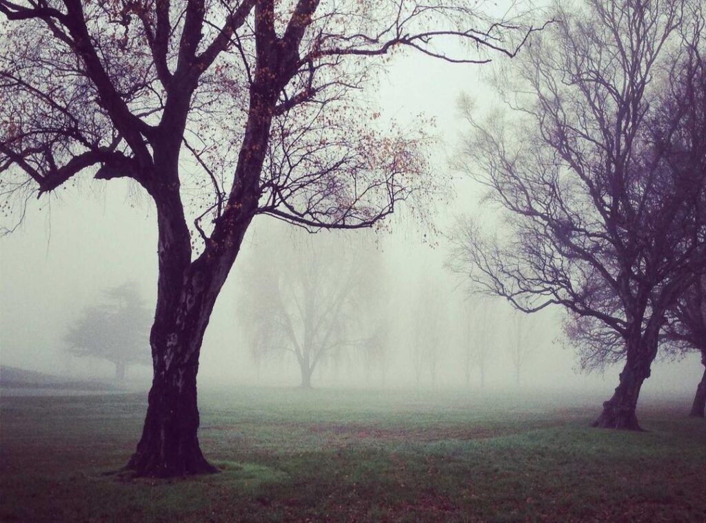 summer brookes leaked