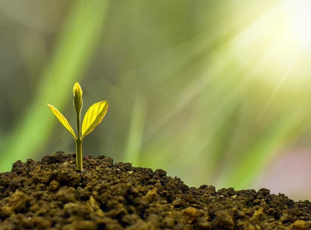 sustainable beauty trends
