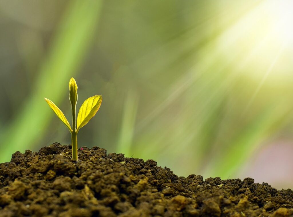 sustainable beauty trends