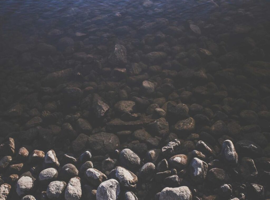 tatuagem estrela minimalista