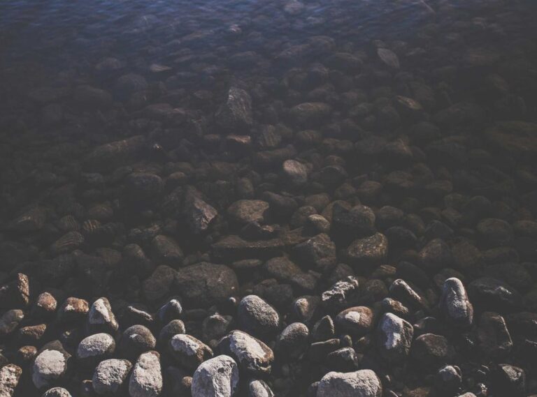 tatuagem estrela minimalista