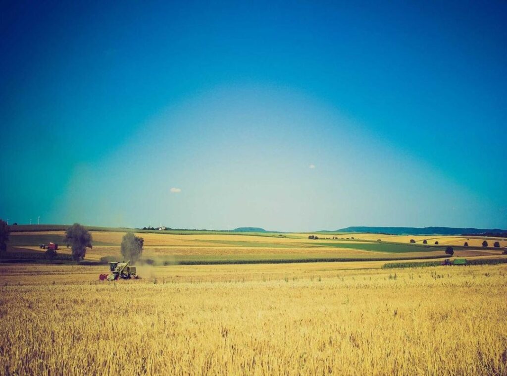 tatuaje mano piero 47