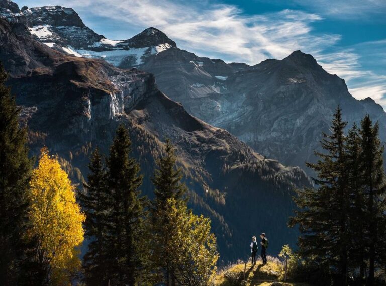 translate.yandex.соm