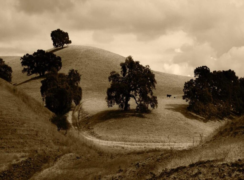 web.roblox/places/create